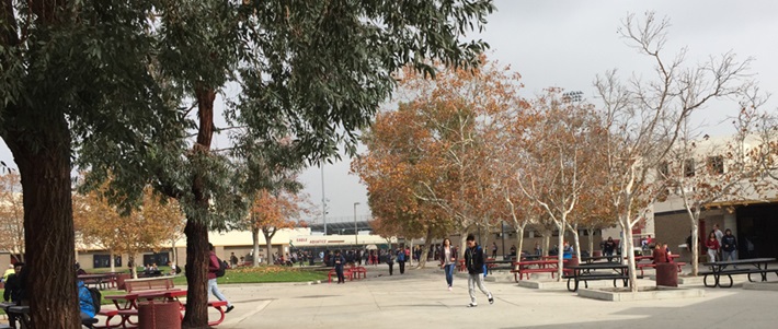 Trường Trung học công lập Chaffey Joint Union School District - Bang California (E)