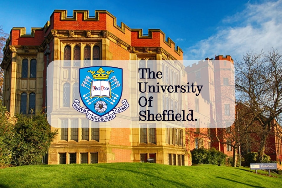Trường đại học Sheffield (The University of Sheffield)